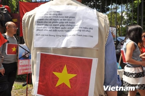 La diaspora vietnamienne à l’étranger poursuit sa protestation contre la Chine - ảnh 1